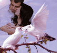 /album/galeria-de-fotos-pagina-inicial/casal-apaixonado1-gif/